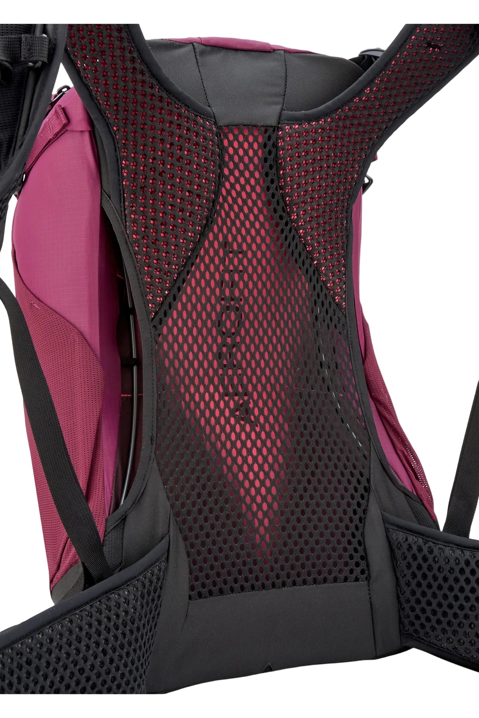 Rab Women's Airox ND22L Day Pack in Mulberry - Suspended Mesh Back Detail