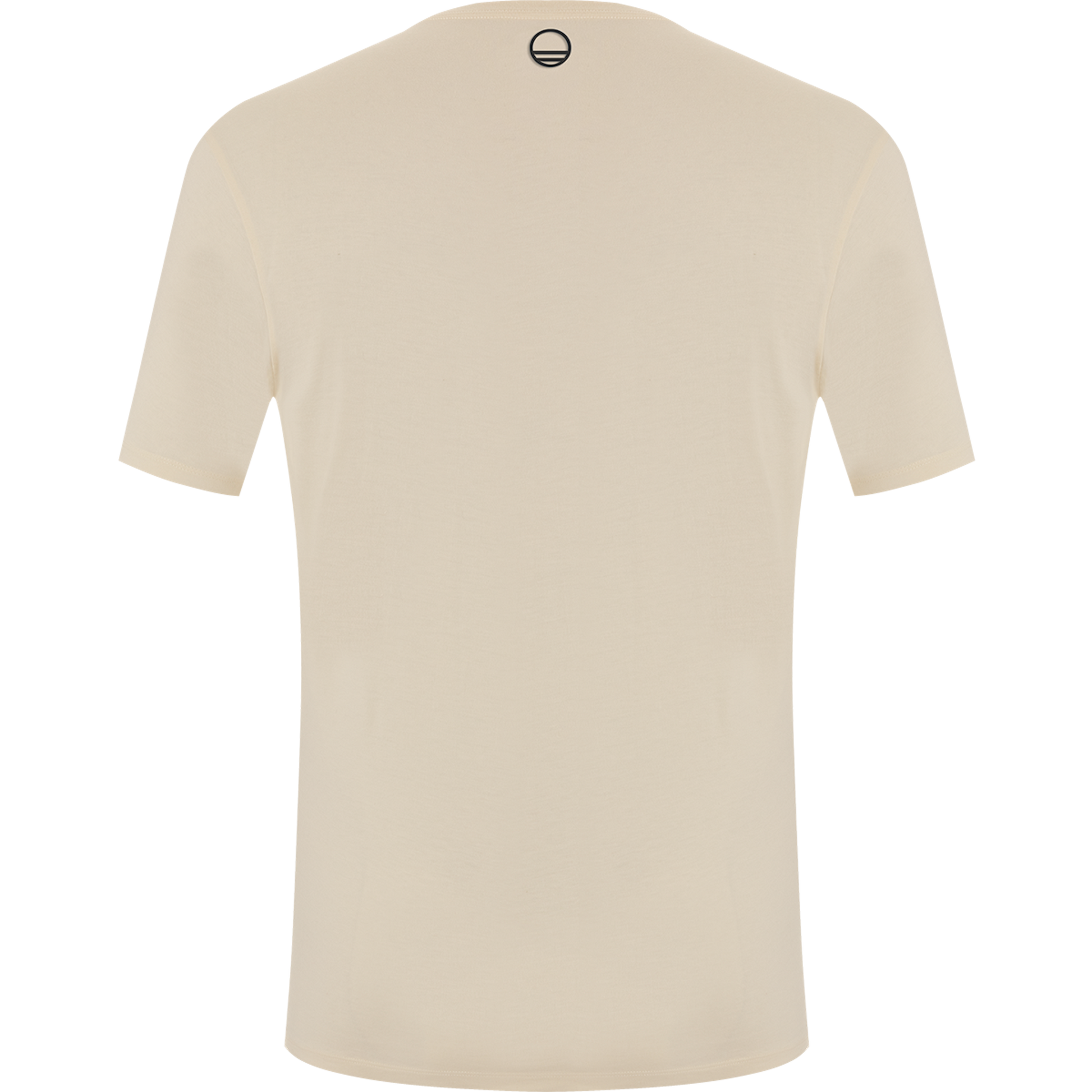 Wild Country Climbing Flow T-Shirt Man Outdoor Action Quartz - Back
