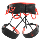 Wild Country Climbing Syncro Harness - Back