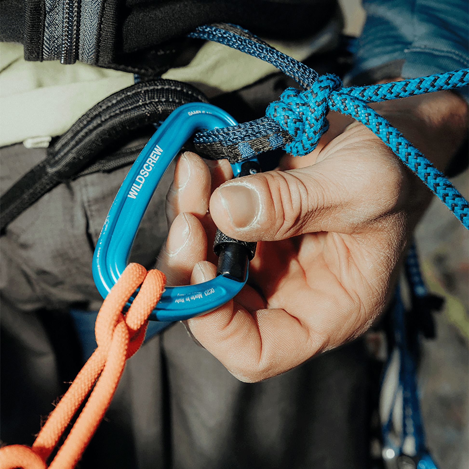 Wild Country Climbing Wildscrew Screwgate Carabiner Black/Turquoise - Product Attached to Rope