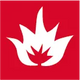 Ocún Raven Straight Carabiner - image 8