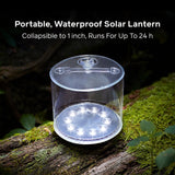 BioLite Luci Original Clear Solar Lantern official product image 2