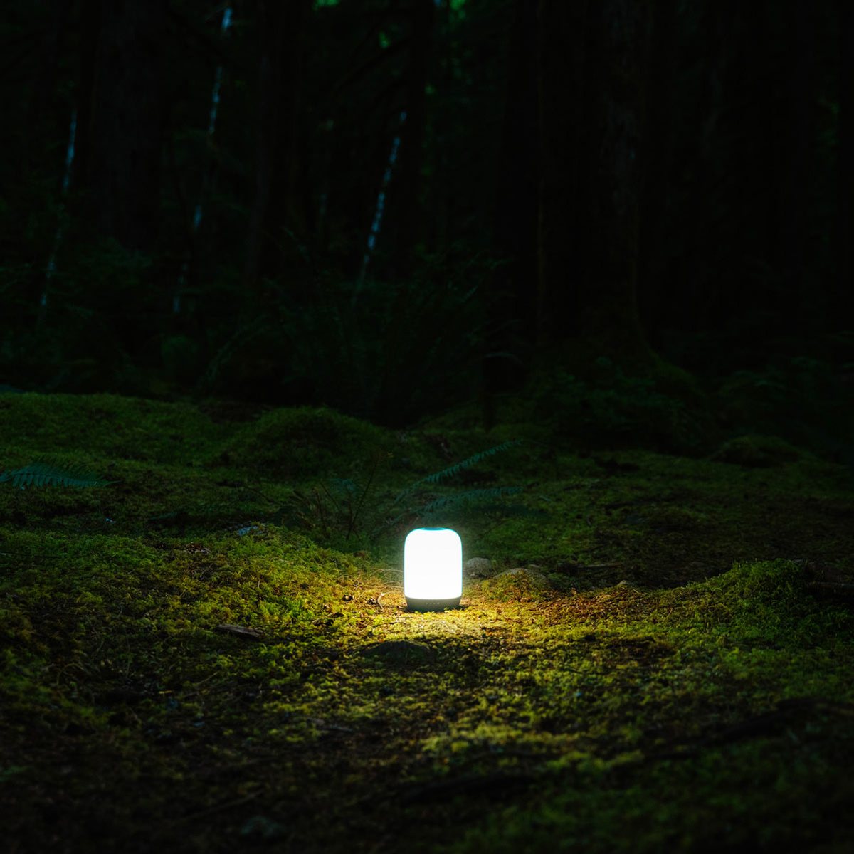 BioLiteBiolite AlpenGlow 500 LanternOutdoor Action
