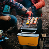 BioLiteBioLite FirePitOutdoor Action