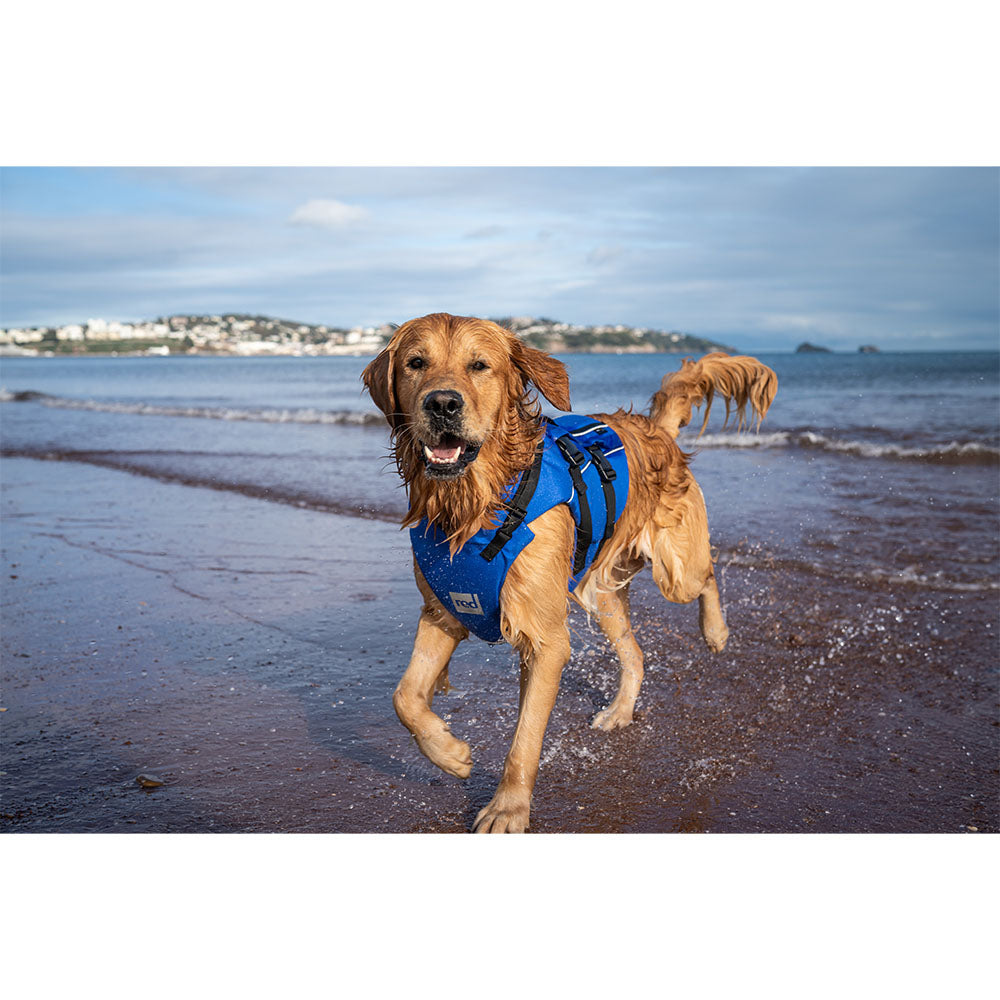 Red Paddle Dog PFD - Dog Wearing Blue PFD