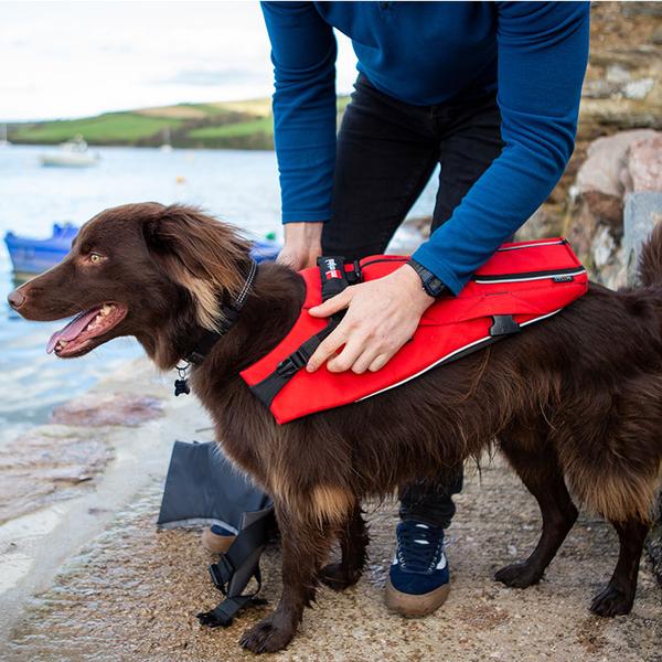 Red Paddle Dog PFD - Dog wearing PDF