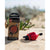 Red PaddleRed Electric Pump Schrader Valve AdaptorOutdoor Action