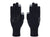 ExtremitiesExtremities Evolution Waterproof GloveOutdoor Action